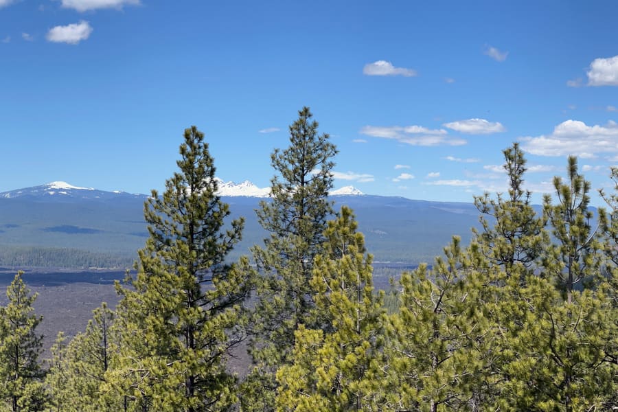 The Cascades from Lava Butte. Lava Butte, Central Oregon
