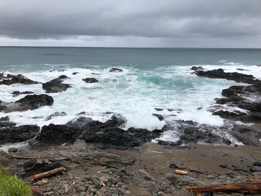 Oregon Tidepools. Oregon Coast