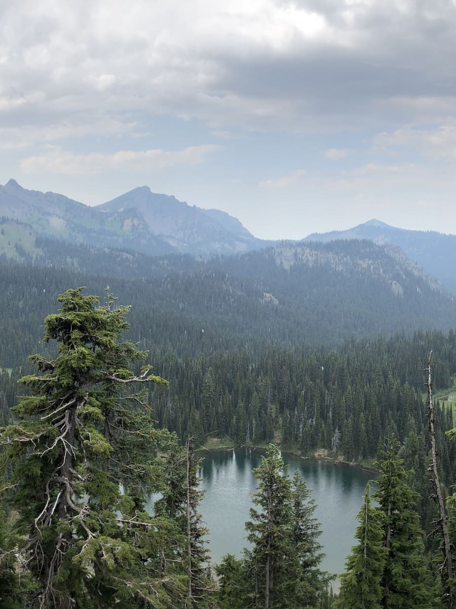 Rainier at Sunrise, Panel 2 of 3. Mount Rainier National Park, Washington
