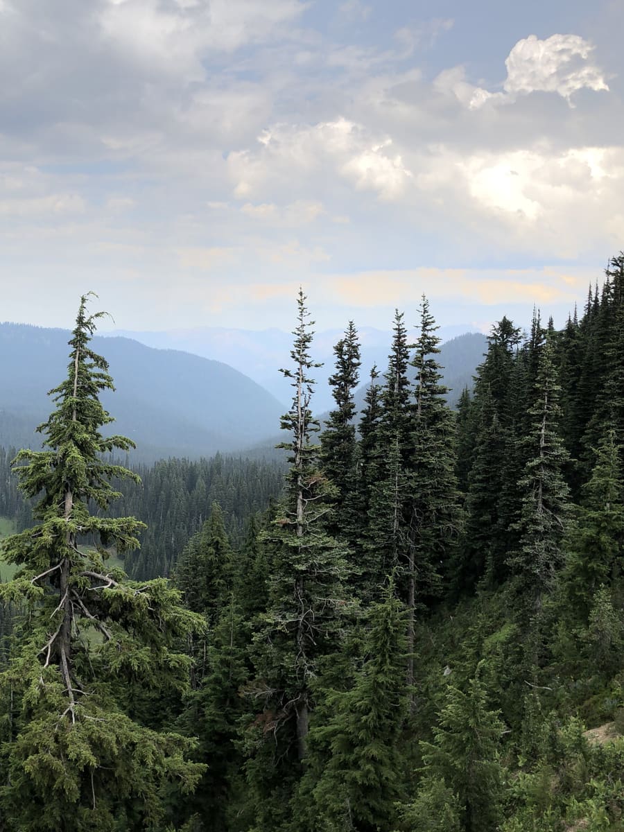 Rainier at Sunrise, Panel 3 of 3. Mount Rainier National Park, Washington