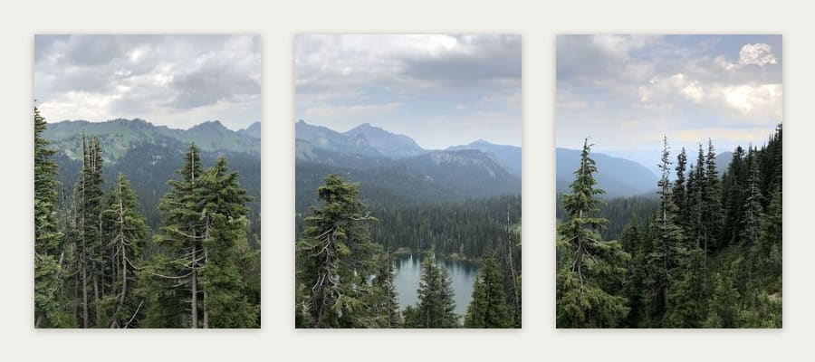 All 3 panels of Rainier at Sunrise hung in order on a wall