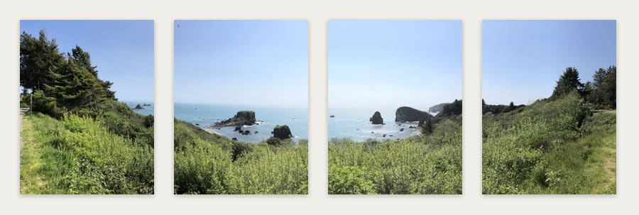 All 4 panels of The Oregon Coast hung in order on a wall