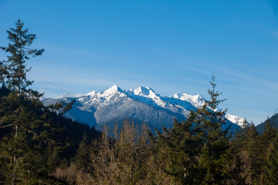 Snowy Range. 