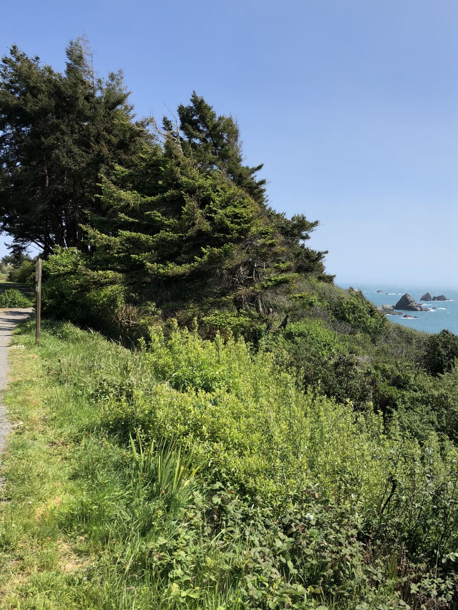 The Oregon Coast, Panel 1 of 4. Oregon Coast