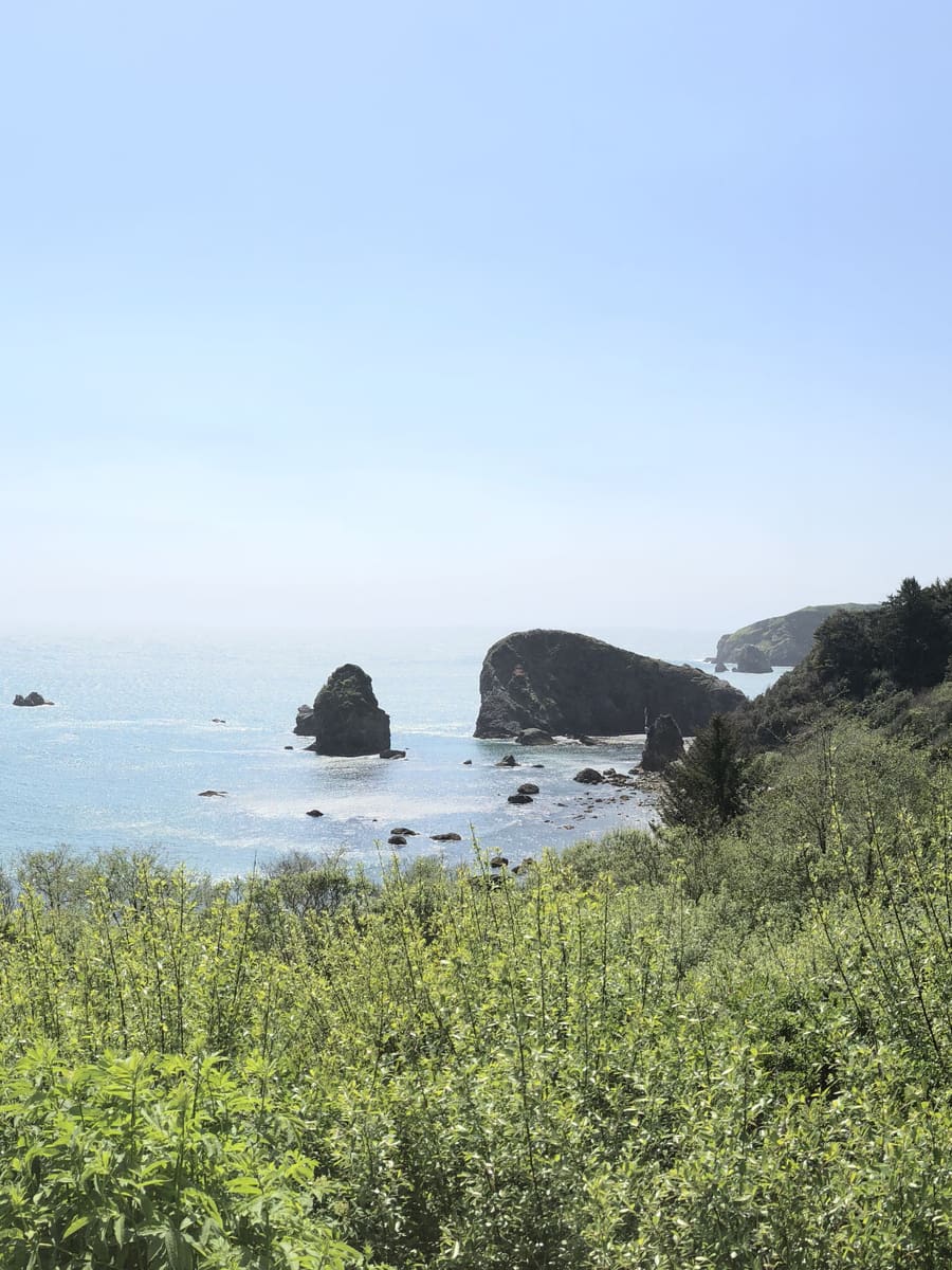 The Oregon Coast, Panel 3 of 4. Oregon Coast
